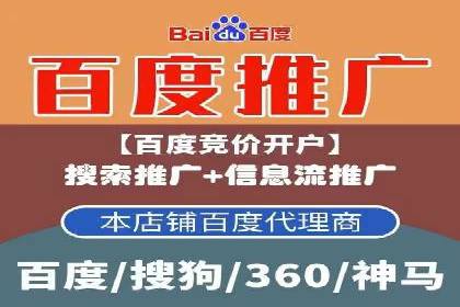 百度推广中SEO优化的成功案例分析